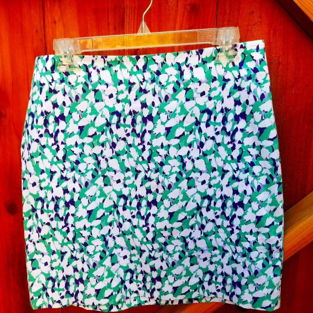 Ann Taylor Madison Skirt Size 8 - Like New